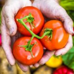 Must See: ‘Taste of School Gardens’